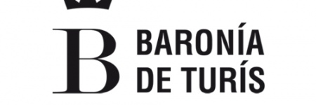 baroniadeturis.es